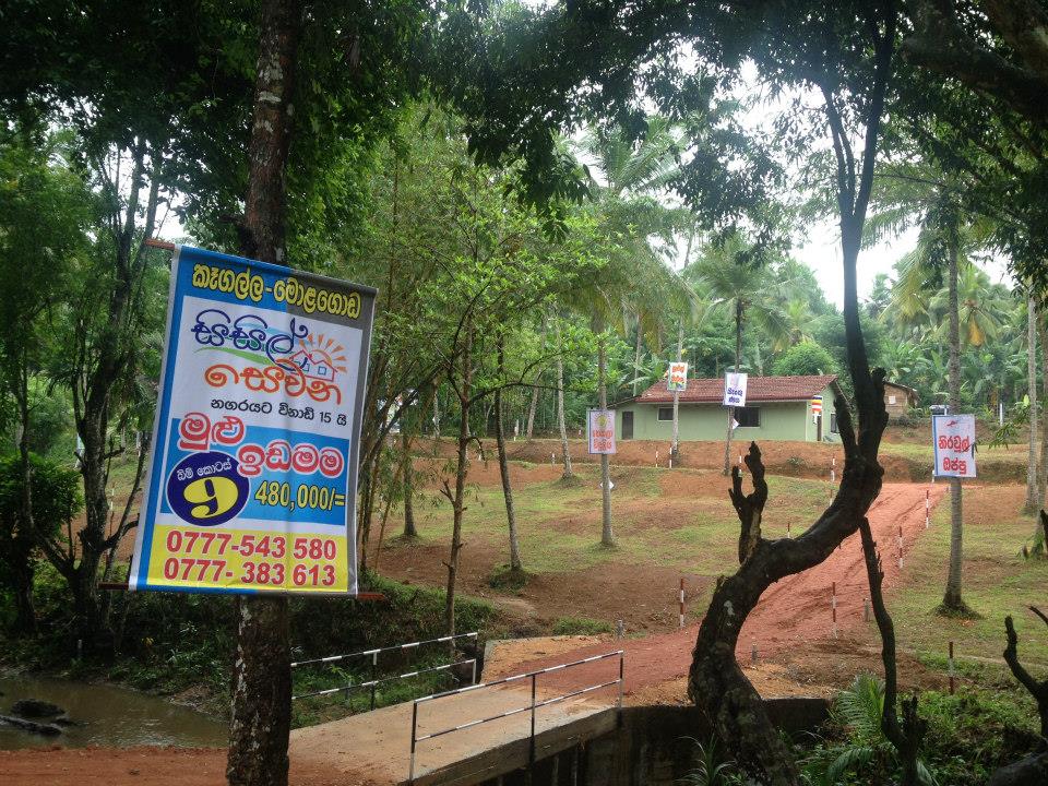 11224483_1621369278102593_5783118407522553423_n