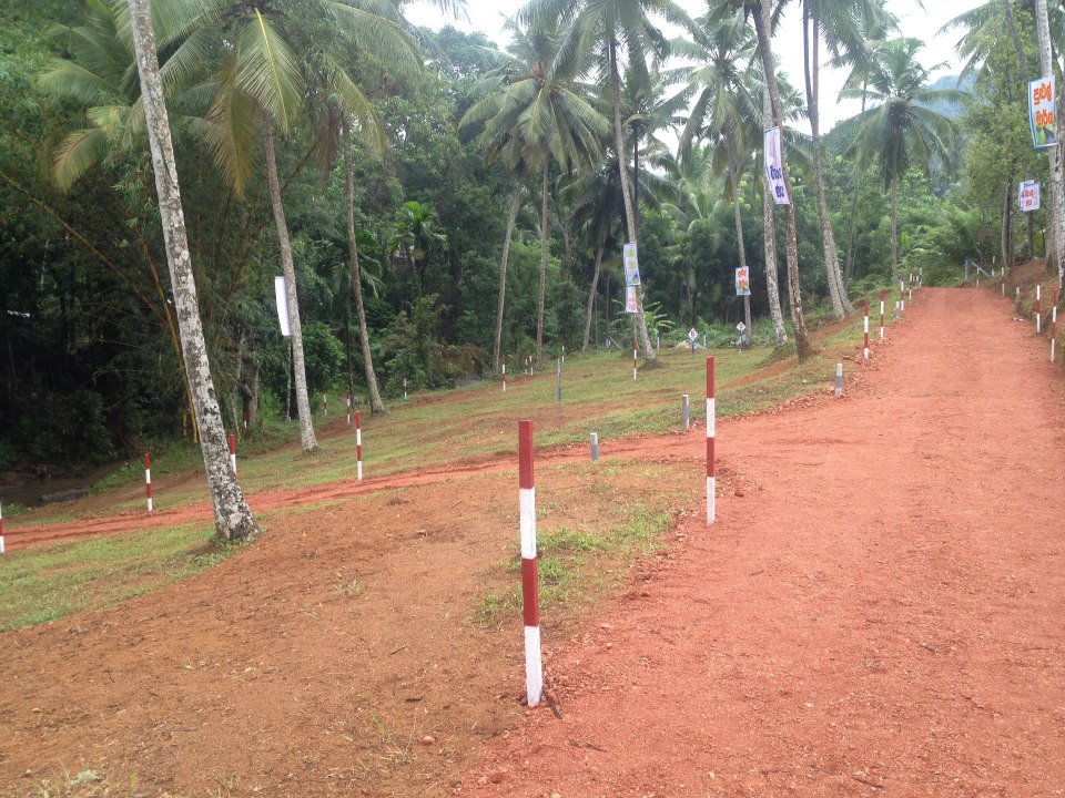 11873548_1621369218102599_6444792124019136288_n