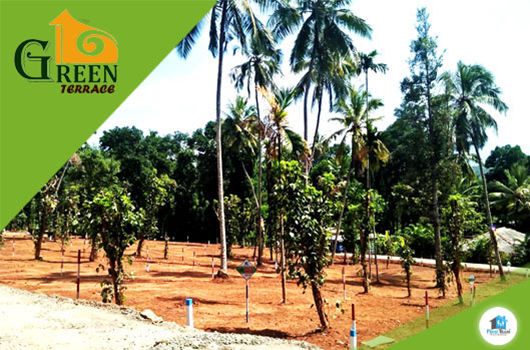 GreenTerrace-1