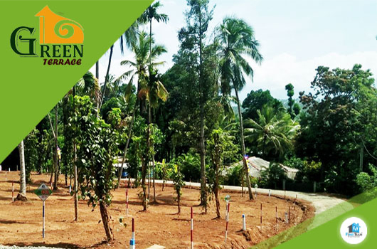 GreenTerrace-3