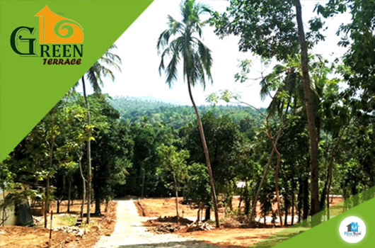 GreenTerrace-5